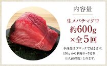 【定期便全5回】生まぐろの本場紀州勝浦から直送！　生メバチマグロ 約600g（1カ月に1回お届け）（全5ヵ月）