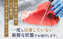 生まぐろ２種食べ比べセット　1kg【一部離島配送不可】那智勝浦町&nbsp;本場&nbsp;鮮魚&nbsp;生まぐろ&nbsp;赤身&nbsp;食べ比べ&nbsp;セット&nbsp;人気&nbsp;おすすめ&nbsp;海鮮&nbsp;魚介&nbsp;刺身&nbsp;グルメ&nbsp;本まぐろ&nbsp;本マグロ&nbsp;まぐろ&nbsp;マグロ&nbsp;鮪&nbsp;maguro