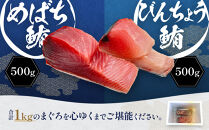 生まぐろ２種食べ比べセット　1kg【一部離島配送不可】那智勝浦町&nbsp;本場&nbsp;鮮魚&nbsp;生まぐろ&nbsp;赤身&nbsp;食べ比べ&nbsp;セット&nbsp;人気&nbsp;おすすめ&nbsp;海鮮&nbsp;魚介&nbsp;刺身&nbsp;グルメ&nbsp;本まぐろ&nbsp;本マグロ&nbsp;まぐろ&nbsp;マグロ&nbsp;鮪&nbsp;maguro