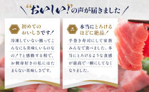 生まぐろ２種食べ比べセット　1kg【一部離島配送不可】那智勝浦町&nbsp;本場&nbsp;鮮魚&nbsp;生まぐろ&nbsp;赤身&nbsp;食べ比べ&nbsp;セット&nbsp;人気&nbsp;おすすめ&nbsp;海鮮&nbsp;魚介&nbsp;刺身&nbsp;グルメ&nbsp;本まぐろ&nbsp;本マグロ&nbsp;まぐろ&nbsp;マグロ&nbsp;鮪&nbsp;maguro