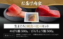 生まぐろ２種食べ比べセット　1kg【一部離島配送不可】那智勝浦町&nbsp;本場&nbsp;鮮魚&nbsp;生まぐろ&nbsp;赤身&nbsp;食べ比べ&nbsp;セット&nbsp;人気&nbsp;おすすめ&nbsp;海鮮&nbsp;魚介&nbsp;刺身&nbsp;グルメ&nbsp;本まぐろ&nbsp;本マグロ&nbsp;まぐろ&nbsp;マグロ&nbsp;鮪&nbsp;maguro