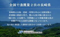 【訳あり／3回定期便】長崎県産 干物詰合せ30枚入り(3種 各5枚×2袋)【ポイント交換専用】