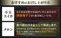 【先行予約】《定期便全2回》佐藤農園のフルーツ定期便 朝採り 計4玉（小玉スイカ・マルセイユメロン・レノンメロン・ペルルメロン）農家直送 秀品 お届け！※2025年6月上旬より順次発送