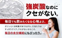 アサヒ飲料&nbsp;ウィルキンソン&nbsp;タンサン（500mlペットボトル×24本）【2026年2月以降のお届け予定】