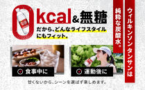 アサヒ飲料&nbsp;ウィルキンソン&nbsp;タンサン（500mlペットボトル×24本×2箱）【2026年2月以降のお届け予定】