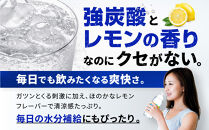 アサヒ飲料&nbsp;ウィルキンソン&nbsp;タンサン&nbsp;レモン（500mlペットボトル×24本×2箱）