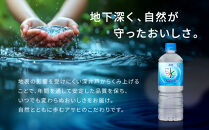 アサヒ飲料&nbsp;おいしい水&nbsp;天然水&nbsp;六甲（600mlペットボトル×24本）