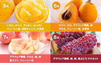 旬を見極めた&nbsp;厳選フルーツ詰め合わせ&nbsp;（満月セット）定期便２か月連続コース！
