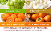 旬を見極めた&nbsp;厳選フルーツ詰め合わせ&nbsp;（満月セット）&nbsp;定期便4か月連続コース！