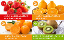 旬を見極めた&nbsp;厳選フルーツ詰め合わせ&nbsp;（満月セット）&nbsp;定期便6か月連続コース！