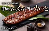 うなぎ蒲焼き2尾入り&nbsp;430g～480g（蒲焼たれ4袋&nbsp;山椒付き）［KS5］