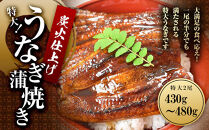 うなぎ蒲焼き2尾入り&nbsp;430g～480g（蒲焼たれ4袋&nbsp;山椒付き）［KS5］