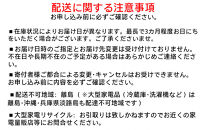 充電式ブロワ18V JB181
