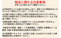 高圧洗浄機 洗浄機 高圧 アイリスオーヤマ オレンジ 持ち運びができる 静音 外壁 玄関 庭 バルコニー ベランダ 洗車 車 水圧 クリーナー 高圧 噴射 洗車 網戸 おすすめ 人気 アイリス  FBN-601HG-D オレンジ