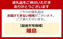 防災セット食品付き　1人用40点セット　NBS1-40