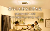 LED&nbsp;シーリングライト&nbsp;パネルライトスクエア&nbsp;12畳&nbsp;調光&nbsp;調色&nbsp;工具・工事不要&nbsp;リモコン付き&nbsp;ホワイト&nbsp;アイリスオーヤマ&nbsp;省エネ&nbsp;節電&nbsp;家電&nbsp;電化製品&nbsp;おやすみタイマー&nbsp;CEA-A12DLPS