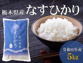 令和6年産 栃木県産　なすひかり　5ｋｇ ＪＡなすの産地直送　【大田原市・那須塩原市・那須町共通返礼品】