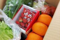 【AB914】【3回定期便】長崎県産　季節の野菜BOX【産直松吉】【ポイント交換専用】