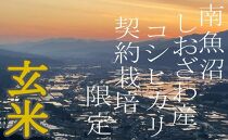 【定期便4Kg×3ヶ月】●玄米● 生産者限定 南魚沼しおざわ産コシヒカリ