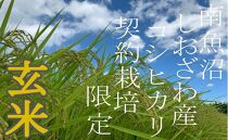 【令和7年産】【定期便10Kg×3ヶ月】●玄米●&nbsp;生産者限定&nbsp;南魚沼しおざわ産コシヒカリ
