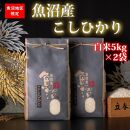 【頒布会・令和6年産 新米】魚沼産コシヒカリ（白米5kg×2袋を全6回）【新潟県 特A地区】｜新潟　コシヒカリ　定期便　5kg　6回　米　白米