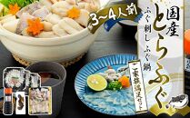 【緊急支援品】 【家計応援品】国産とらふぐ ふぐ刺し・ふぐ鍋 ご家族満足セット 3～4人前