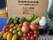 【みうら農園】季節の野菜セット（夏野菜）