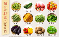 【2026年発送分先行予約】みうら農園&nbsp;季節の野菜セット（夏野菜）【2026年6月中旬以降順次】