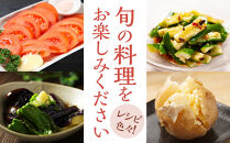 【2026年発送分先行予約】みうら農園&nbsp;季節の野菜セット（夏野菜）【2026年6月中旬以降順次】