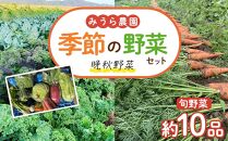 【みうら農園】季節の野菜セット（晩秋野菜）