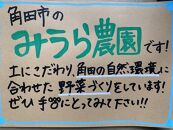 【2026年発送分先行予約】みうら農園&nbsp;季節の野菜セット&nbsp;おまかせ7品（晩秋野菜）【2026年10月下旬頃～順次】