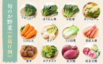 【2026年発送分先行予約】みうら農園&nbsp;季節の野菜セット&nbsp;おまかせ7品（晩秋野菜）【2026年10月下旬頃～順次】