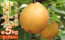梨「甘太」約5kg（5～7玉入）【松崎果樹園】