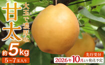 【2026年発送／先行予約】梨「甘太」約5kg（5～7玉入）【松崎果樹園】｜梨&nbsp;ナシ&nbsp;こだわりの梨&nbsp;フルーツ&nbsp;果物&nbsp;旬の梨&nbsp;宮城県角田市&nbsp;約5kg