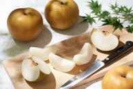 【2026年発送／先行予約】梨「甘太」約5kg（5～7玉入）【松崎果樹園】｜梨&nbsp;ナシ&nbsp;こだわりの梨&nbsp;フルーツ&nbsp;果物&nbsp;旬の梨&nbsp;宮城県角田市&nbsp;約5kg