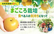 【2026年発送／先行予約】梨「甘太」約5kg（5～7玉入）【松崎果樹園】｜梨&nbsp;ナシ&nbsp;こだわりの梨&nbsp;フルーツ&nbsp;果物&nbsp;旬の梨&nbsp;宮城県角田市&nbsp;約5kg