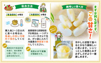 【2026年発送／先行予約】梨「甘太」約5kg（5～7玉入）【松崎果樹園】｜梨&nbsp;ナシ&nbsp;こだわりの梨&nbsp;フルーツ&nbsp;果物&nbsp;旬の梨&nbsp;宮城県角田市&nbsp;約5kg