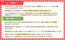 【2026年発送／先行予約】品種おまかせ&nbsp;旬のりんごと洋梨詰合せ&nbsp;約5kg【松崎果樹園】