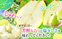 【2026年発送／先行予約】品種おまかせ&nbsp;旬のりんごと洋梨詰合せ&nbsp;約5kg【松崎果樹園】