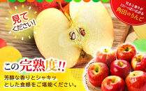 【2026年発送／先行予約】品種おまかせ&nbsp;旬のりんごと洋梨詰合せ&nbsp;約5kg【松崎果樹園】