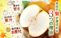 【2026年発送／先行予約】梨「豊水」約5kg（8～10玉入）【松崎果樹園】｜梨&nbsp;ナシ&nbsp;こだわりの梨&nbsp;フルーツ&nbsp;果物&nbsp;旬の梨&nbsp;宮城県角田市&nbsp;約5kg