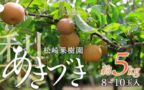 梨「あきづき」約5kg（8～10玉入）【松崎果樹園】