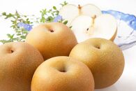 梨「あきづき」約5kg（8～10玉入）【松崎果樹園】