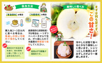 【2026年発送／先行予約】梨「新高」約5kg（5～7玉入）【松崎果樹園】｜梨&nbsp;ナシ&nbsp;こだわりの梨&nbsp;フルーツ&nbsp;果物&nbsp;旬の梨&nbsp;宮城県角田市&nbsp;約5kg