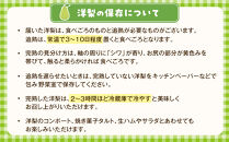 【2026年発送／先行予約】梨「ラ・フランス」約3kg（7～8玉入）【松崎果樹園】