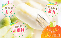 【2026年発送／先行予約】梨「ラ・フランス」約3kg（7～8玉入）【松崎果樹園】