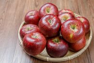 【2026年発送／先行予約】「秋映」約5kg（14～16玉）【松崎果樹園】