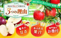 【2026年発送／先行予約】「秋映」約5kg（14～16玉）【松崎果樹園】