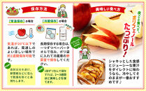 【2026年発送／先行予約】「秋映」約5kg（14～16玉）【松崎果樹園】