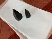 刀鍛冶謹製　たけのこ鋼文鎮